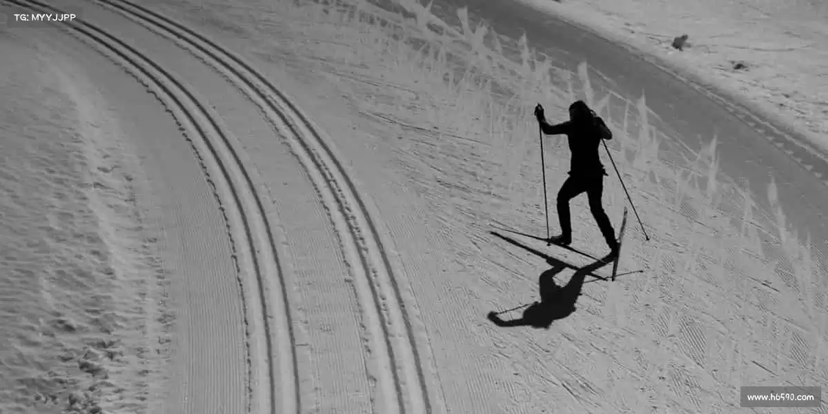 为什么选择我们